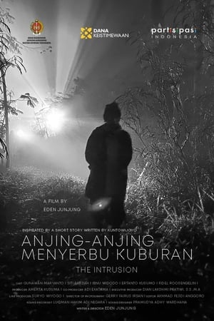 Anjing-Anjing Menyerbu Kuburan