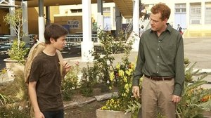 Weeds: 5×4