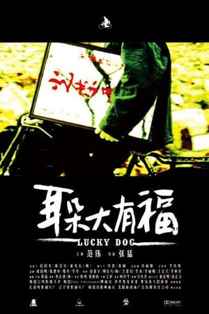 Lucky Dog poster