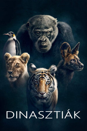 Dynasties 48