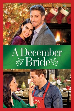 Watch Una boda en diciembre (2016) HD Movie Online Free