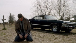 Swan Song