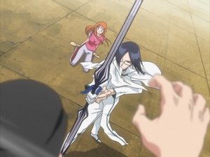 Bleach Season 1 Episode 29