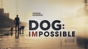 poster Dog: Impossible