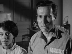 The Outer Limits: 1×15