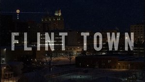 Flint Town