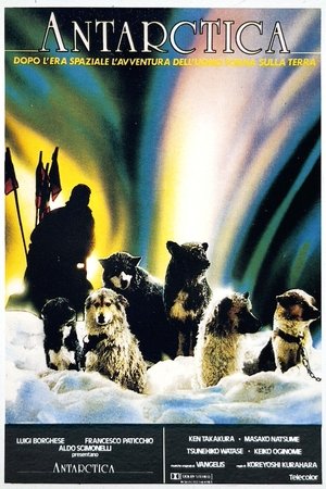 Image Antarctica