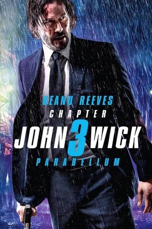 poster John Wick: Chapter 3 - Parabellum