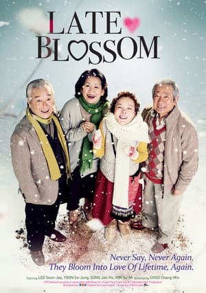 Poster Late Blossom (2011)