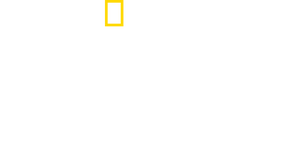 /o2kv6fjAkqfMgJLi2ibb3xkxDM0.png