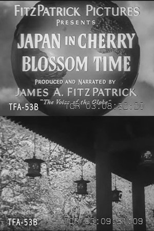 Japan in Cherry Blossom Time 2