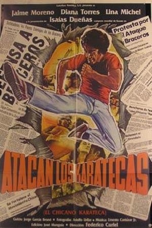 Poster Atacan los karatecas (1977)