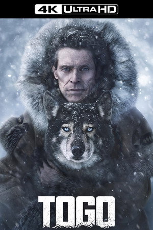 Постер фильма «Того (2019)» — (13 из 29)