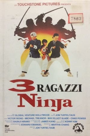 Poster 3 ragazzi ninja 1992