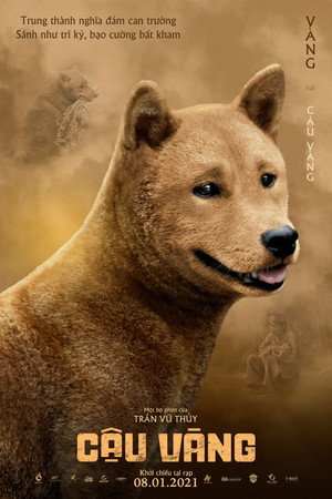 Cậu Vàng 11