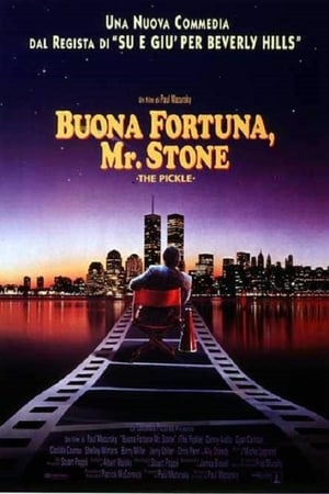 Poster Buona fortuna Mr. Stone 1993
