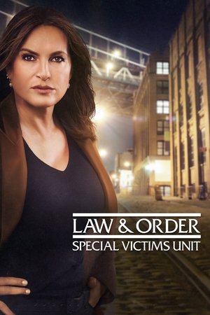 poster Law & Order: Special Victims Unit
