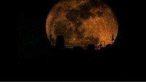 The Werewolf of Washington