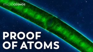 How Brownian Motion Helped Prove the Existence of Atoms still