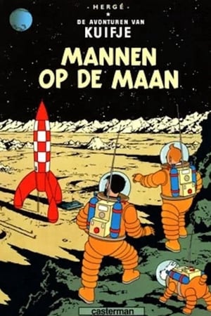 Image Mannen op de Maan