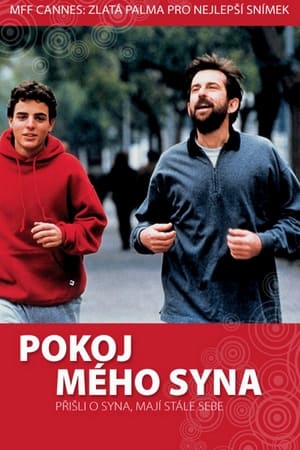 Poster Synův pokoj 2001