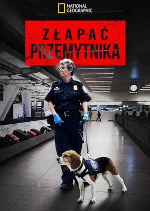 Image Złapać przemytnika