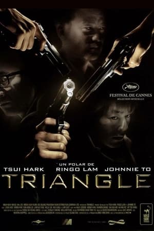 Poster Triangle 2007