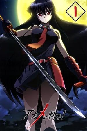 Akame ga Kill!: Saison 01