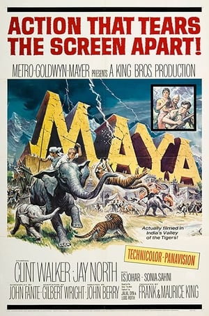 Poster Maya (1966)