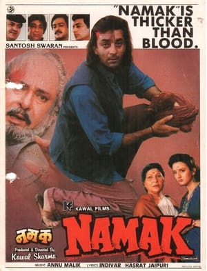 Poster Namak 1996