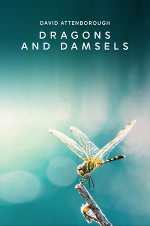 Dragons and Damsels (2019)