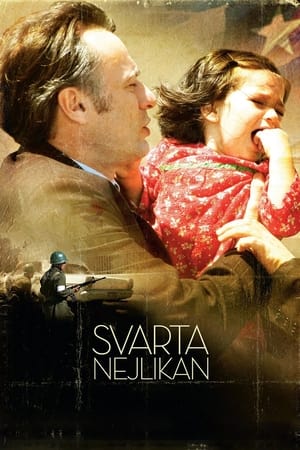 Poster Svarta nejlikan 2007