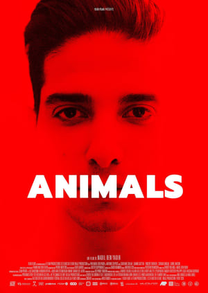 Film Animals streaming VF gratuit complet