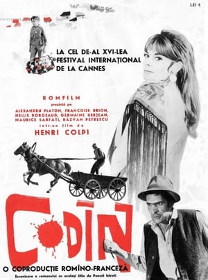 Codine film complet