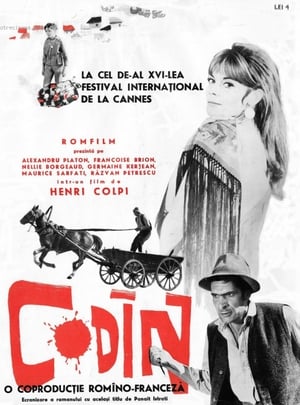 Poster Codin 1963