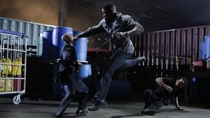 Falcon Rising (2014)