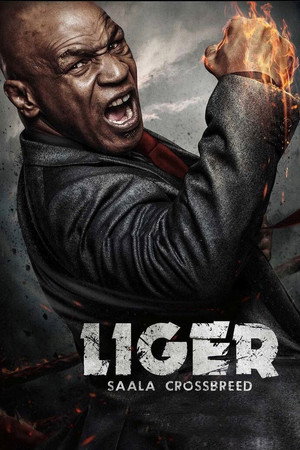 Liger 38