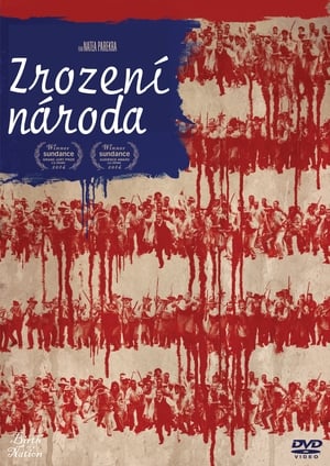 Poster Zrození národa 2016