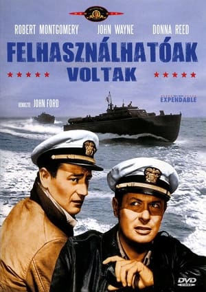 Felhasználhatóak voltak (1945)