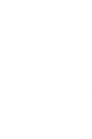 3 — Logos 1