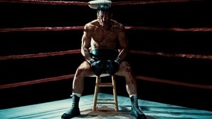 In Full Bloom (2019) DVDRIP LATINO