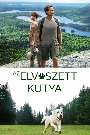 Az elveszett kutya