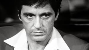 Scarface 1983 มาเฟียหน้าบาก