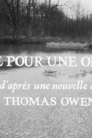 Pitié pour une ombre