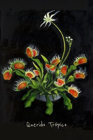 Beloved Tropic (2025)