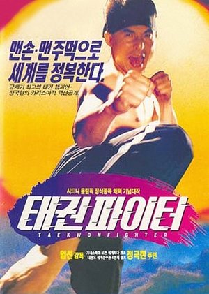 Poster 태권 파이터 1995