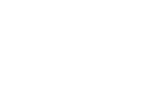 Selena: The Series — Logos 4