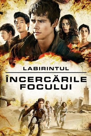 Image Labirintul: Încercările focului