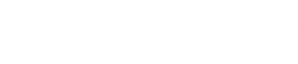 A Brief History of the Future