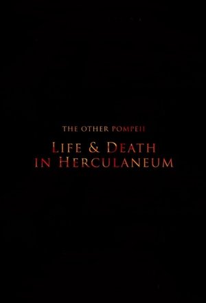 Image The Other Pompeii: Life & Death in Herculaneum